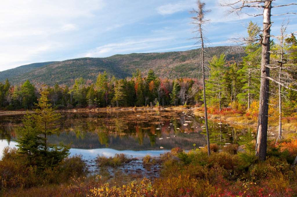 White Mountains National Forest jigsaw puzzle in Great Sightings puzzles on TheJigsawPuzzles.com
