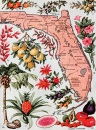 Florida, The Everglade State