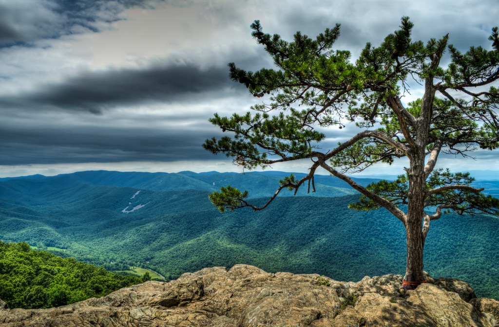 Ravens Roost Overlook, Blue Ridge Parkway jigsaw puzzle in Great Sightings puzzles on TheJigsawPuzzles.com