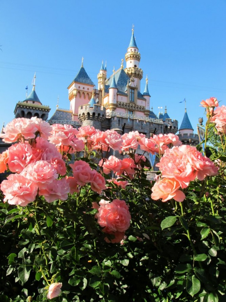 Sleeping Beauty Castle jigsaw puzzle in Flowers puzzles on TheJigsawPuzzles.com