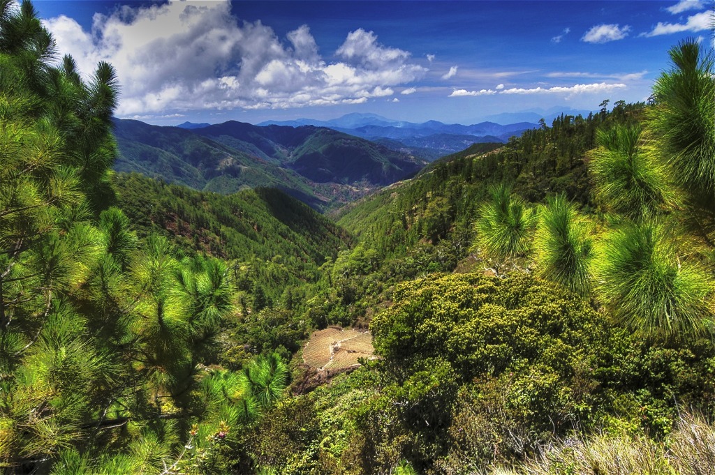 Pulag Mountain Landscape, Philippines jigsaw puzzle in Пазл дня puzzles on TheJigsawPuzzles.com