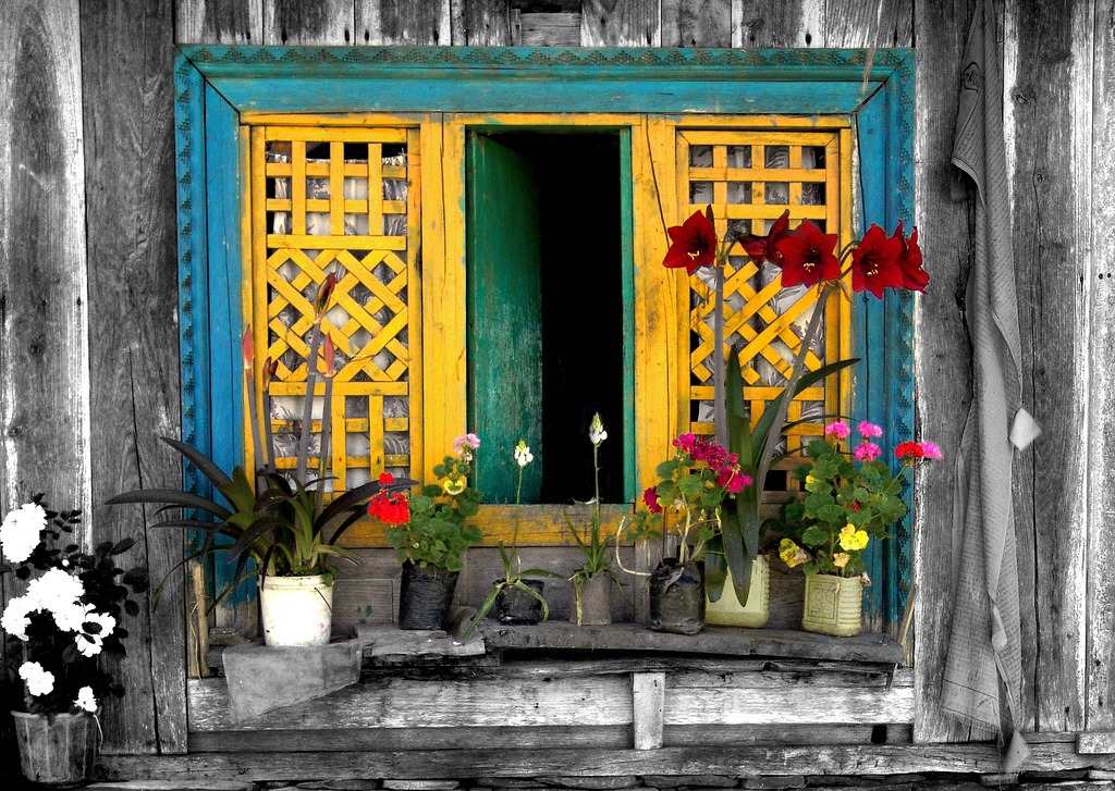 Window and Flowers jigsaw puzzle in Flowers puzzles on TheJigsawPuzzles.com
