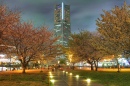 Landmark Tower and Sakura