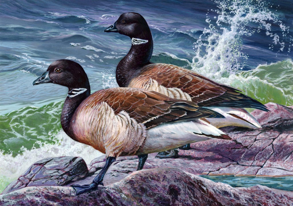 Duck Stamp Kunstwettbewerb jigsaw puzzle in Puzzle des Tages puzzles on TheJigsawPuzzles.com