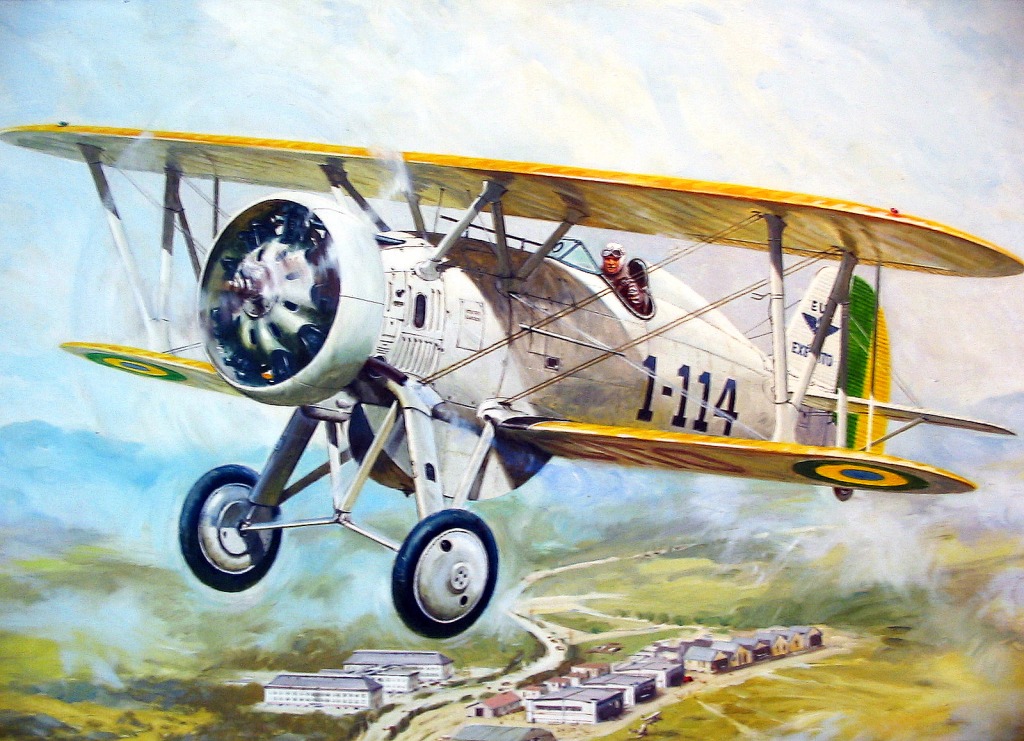 Boeing P-12, Brasilianisches Luft- und Raumfahrt Museum jigsaw puzzle in Puzzle des Tages puzzles on TheJigsawPuzzles.com
