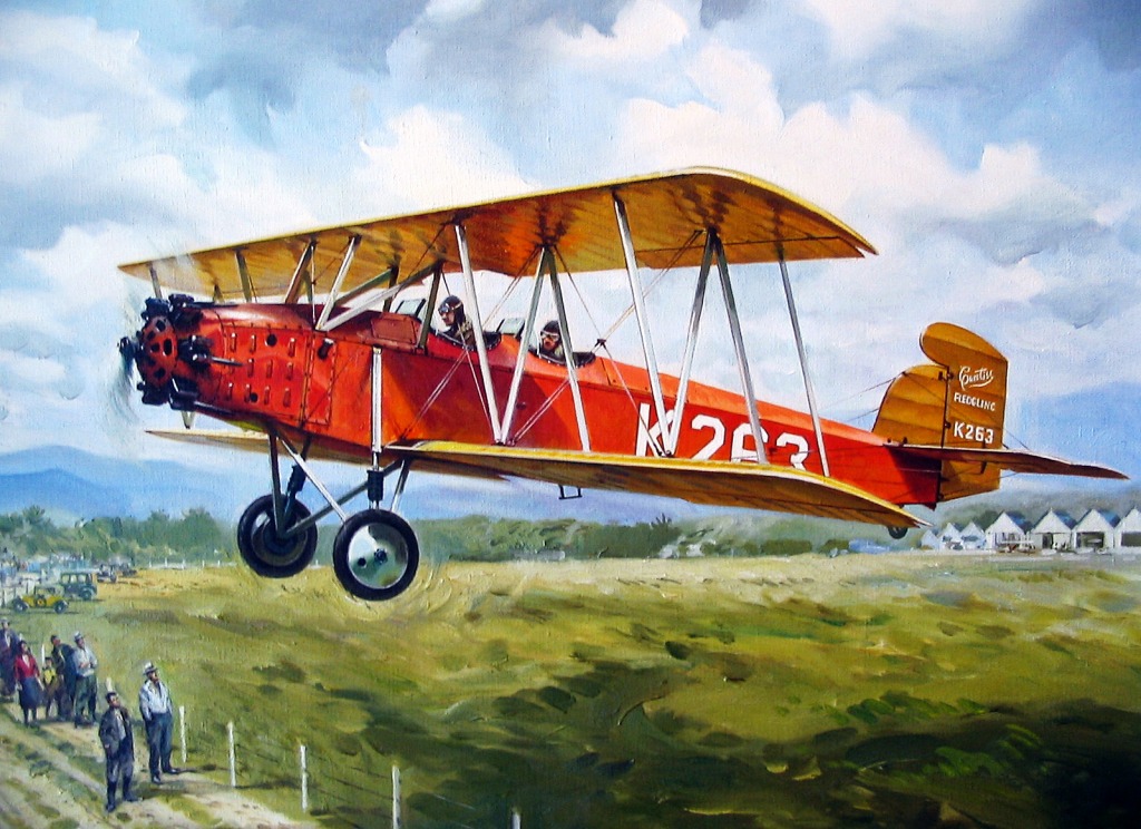 Curtiss Fledgling J-2 jigsaw puzzle in Aviação puzzles on TheJigsawPuzzles.com