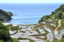 Hamanoura Shelved Rice Terraces