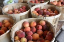 Fresh Picked Peaches