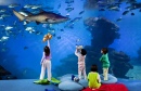 Kids in Palma Aquarium, Spain
