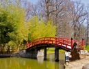 Japanese Bridge, Memphis Botanic Garden