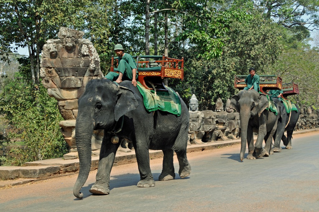 Taxi Angkor Thom's, Cambodge jigsaw puzzle in Puzzle du jour puzzles on TheJigsawPuzzles.com