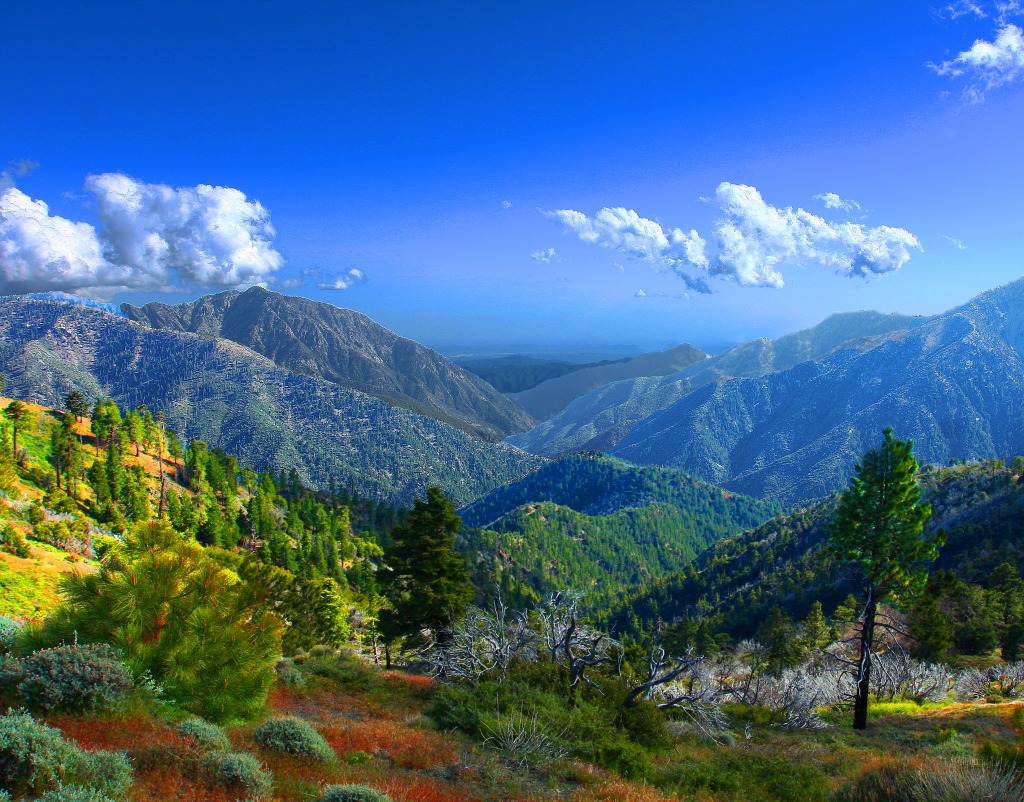 The Sheep Mountain Wilderness jigsaw puzzle in Puzzle of the Day puzzles on TheJigsawPuzzles.com