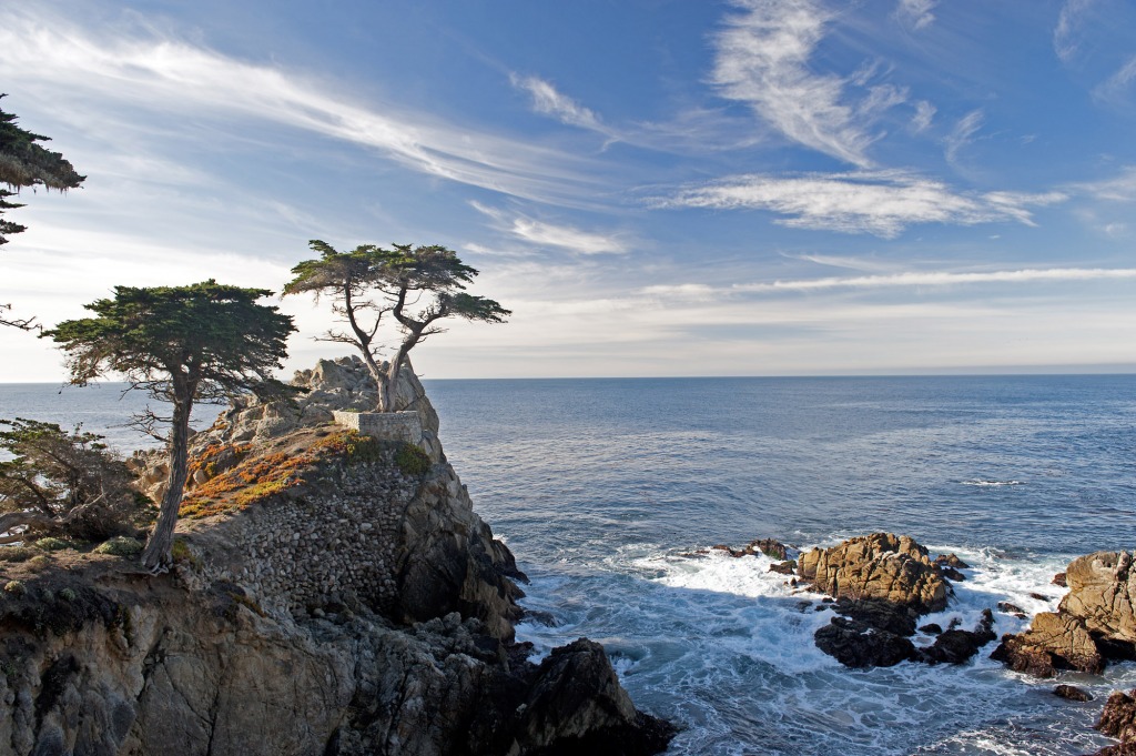 Lone Cypress, Monterey, CA jigsaw puzzle in Great Sightings puzzles on TheJigsawPuzzles.com