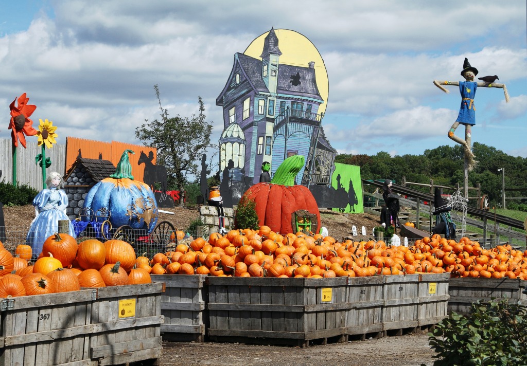 Pumpkinland jigsaw puzzle in Halloween puzzles on TheJigsawPuzzles.com