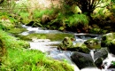River in Glentenassig, Ireland