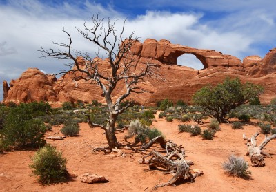 Skyline Arch, Arches National Park jigsaw puzzle in Puzzle of the Day ...