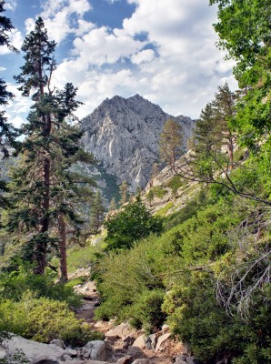 Maggies Peak, Sierra Nevada jigsaw puzzle in Great Sightings puzzles on ...