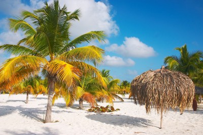 Sirena Beach at Cayo Largo, Cuba jigsaw puzzle in Great Sightings ...