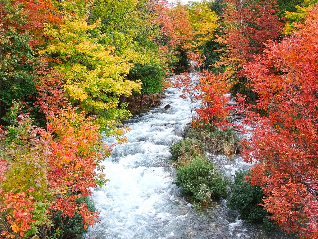Autumn at Harris Creek, Ontario jigsaw puzzle in Waterfalls puzzles on TheJigsawPuzzles.com