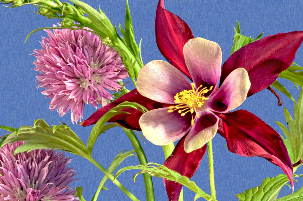 Flowers jigsaw puzzle in Flowers puzzles on TheJigsawPuzzles.com