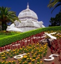 Golden Gate Park Conservatory Of Flowers