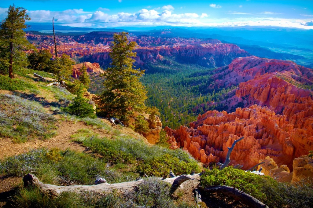 Bryce-Canyon-Nationalpark, Utah jigsaw puzzle in Puzzle des Tages puzzles on TheJigsawPuzzles.com