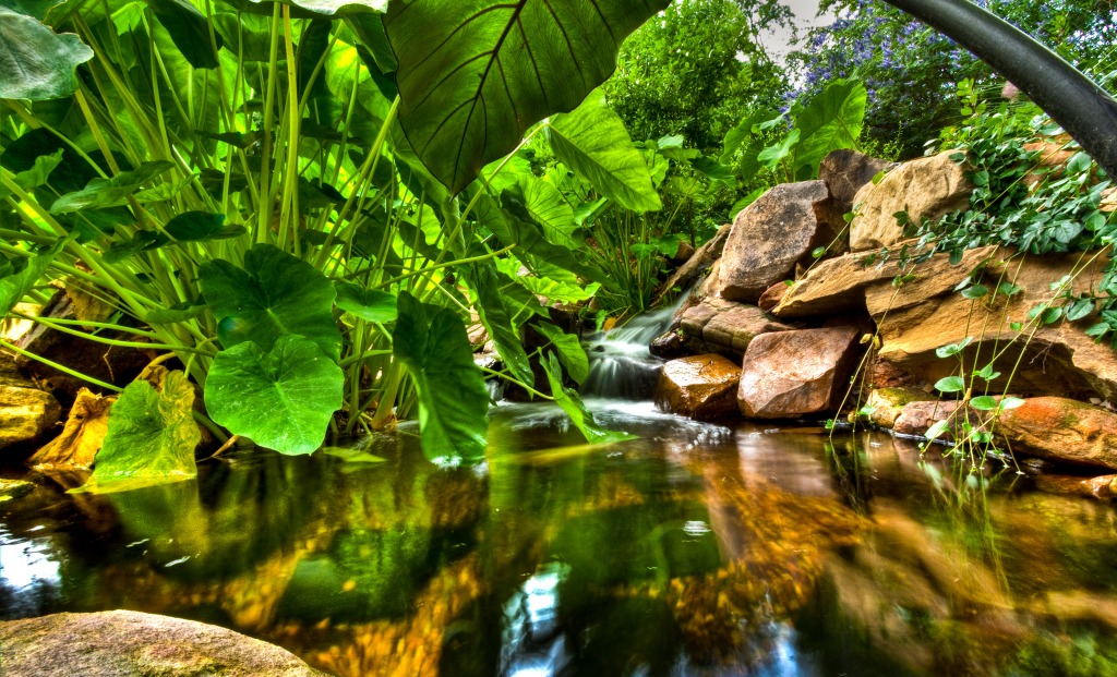 Grapevine Botanical Gardens, Texas jigsaw puzzle in Waterfalls puzzles on TheJigsawPuzzles.com