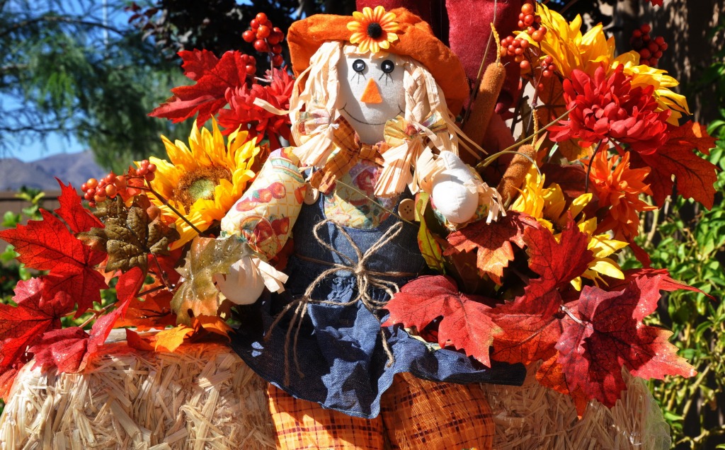 Scarecrow jigsaw puzzle in Puzzle of the Day puzzles on TheJigsawPuzzles.com