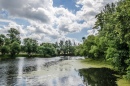 Pond in Saint Petersburg