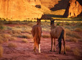 Horses inside Navajo Tribal Park, Monument Valley