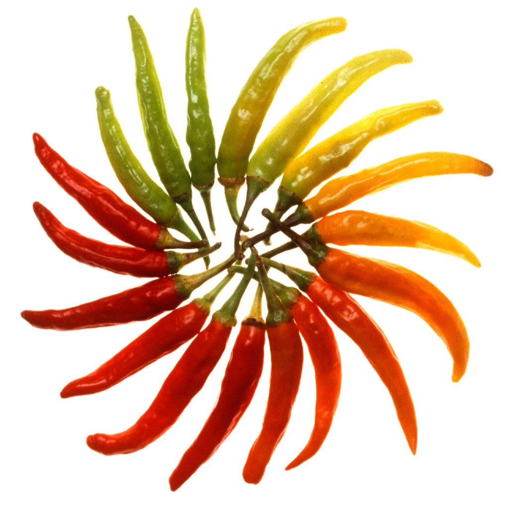 Charleston Hot Peppers jigsaw puzzle in Fruits & Veggies puzzles on TheJigsawPuzzles.com