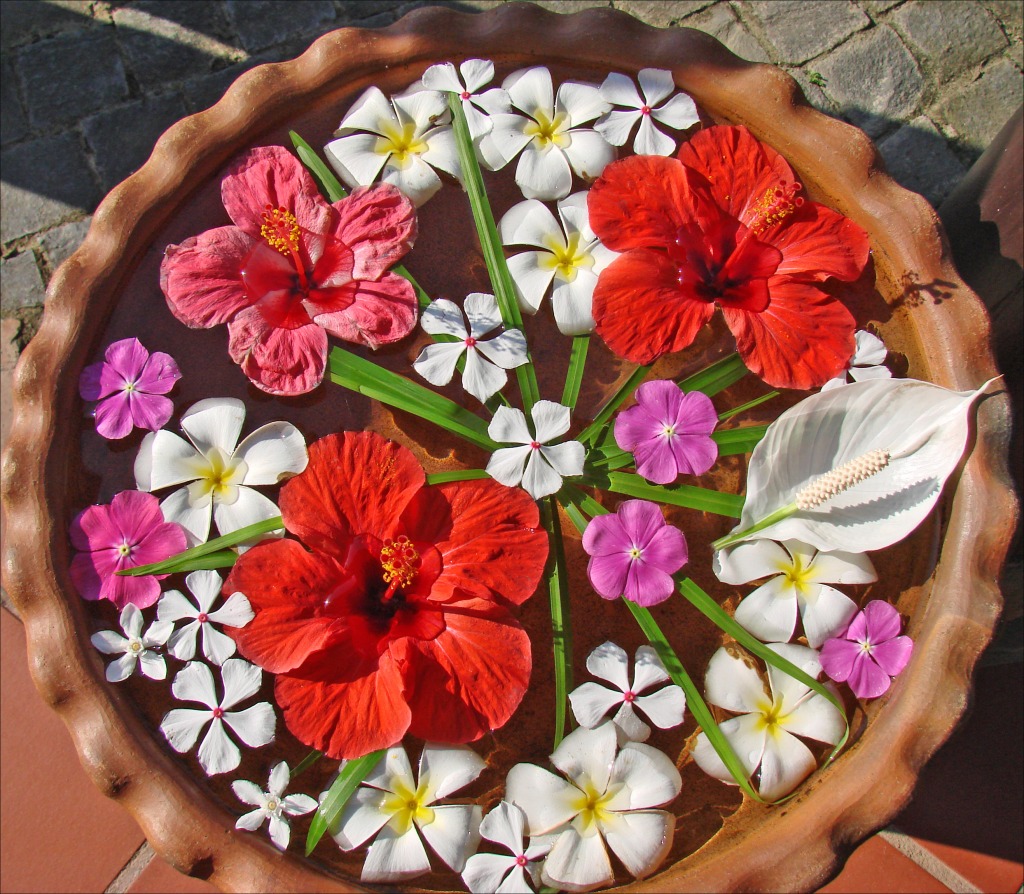 Floral Arrangement in Hoi An, Vietnam jigsaw puzzle in Puzzle of the Day puzzles on TheJigsawPuzzles.com