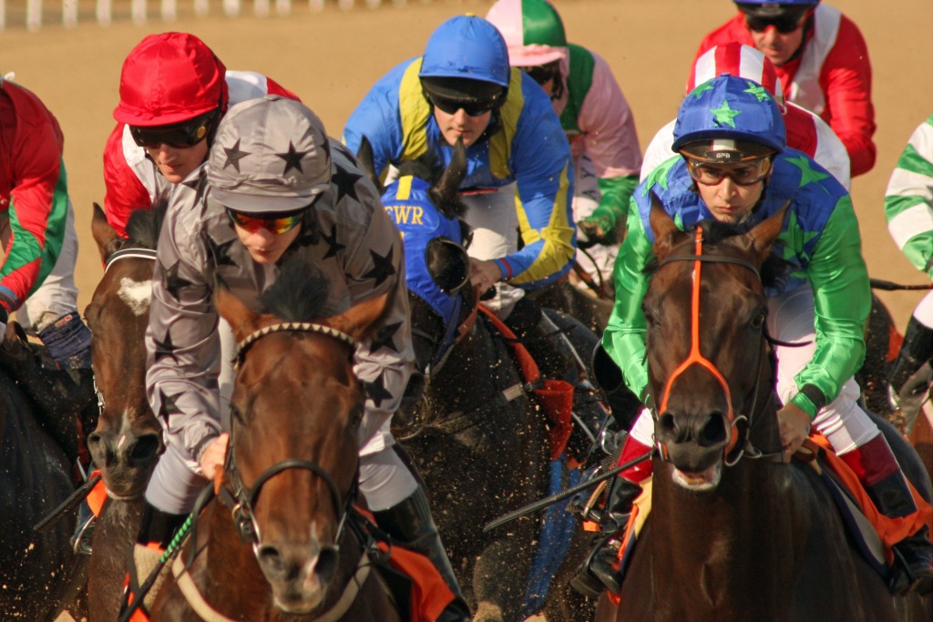 Great Leighs Horse Racing jigsaw puzzle in People puzzles on TheJigsawPuzzles.com