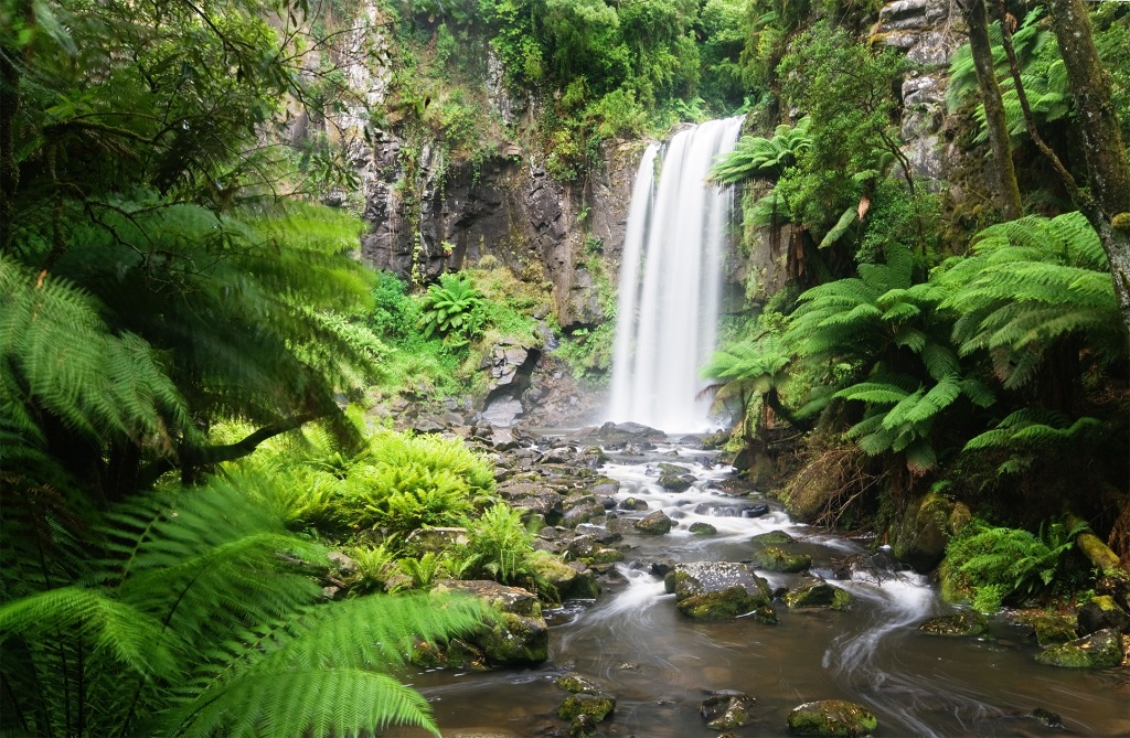 Hopetoun Falls, Otway NP, Australia jigsaw puzzle in Waterfalls puzzles on TheJigsawPuzzles.com
