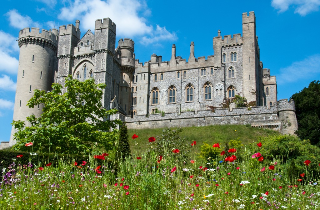 Arundel Castle, West Sussex, England jigsaw puzzle in Castles puzzles on TheJigsawPuzzles.com