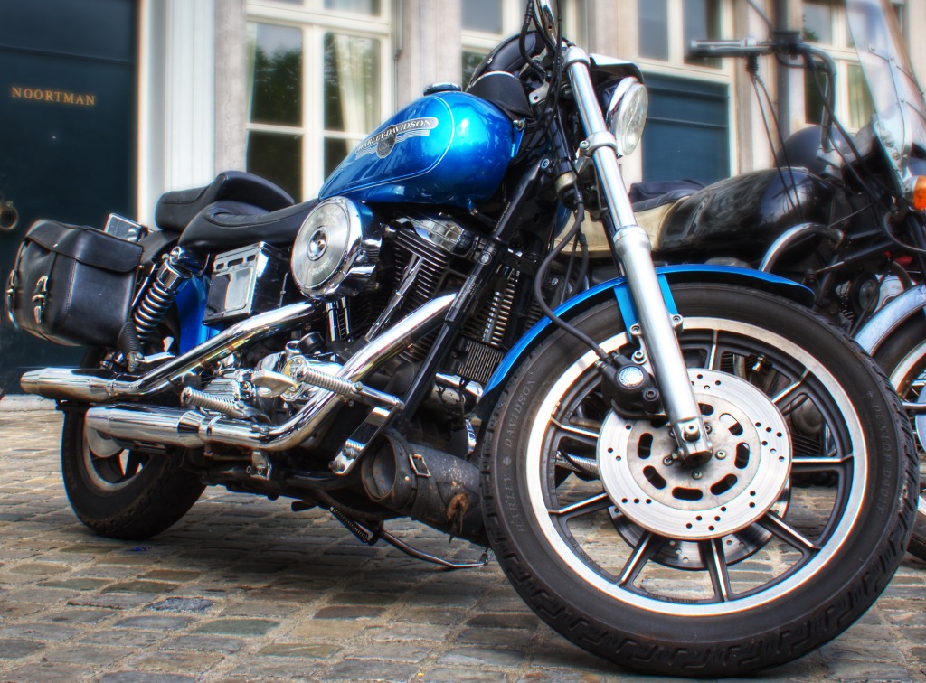 Harley Davidson Rides jigsaw puzzle in Cars & Bikes puzzles on TheJigsawPuzzles.com