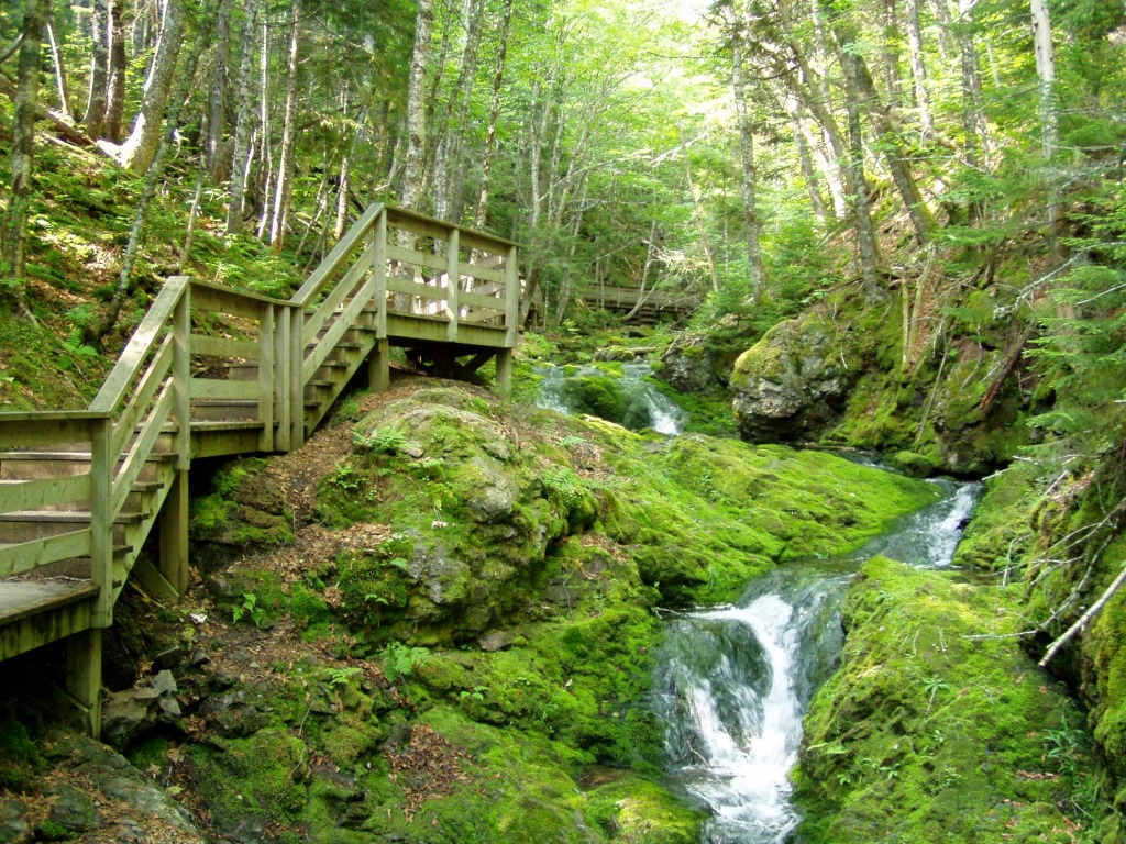 Dickson Falls Hiking Trail, Fundy NP, Canada jigsaw puzzle in Waterfalls puzzles on TheJigsawPuzzles.com