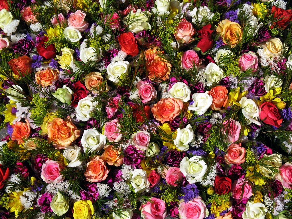 Roses jigsaw puzzle in Fleurs puzzles on TheJigsawPuzzles.com