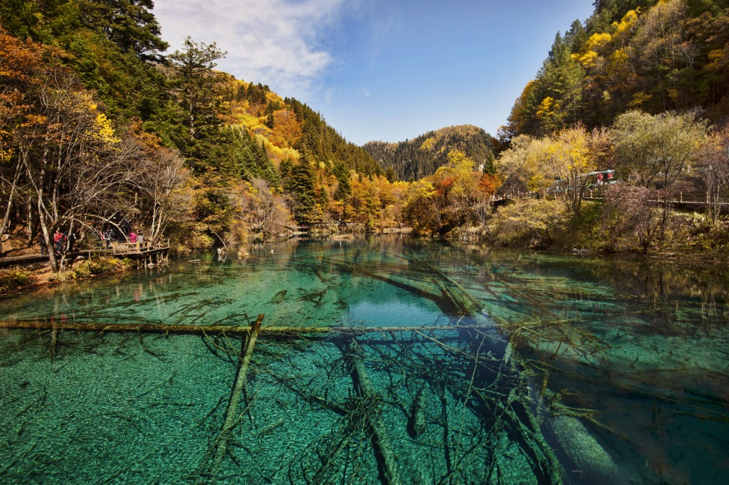 Jiuzhaigou Valley National Park, China jigsaw puzzle in Great Sightings puzzles on TheJigsawPuzzles.com