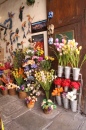 Flower Shop in Guanajuato, Mexico