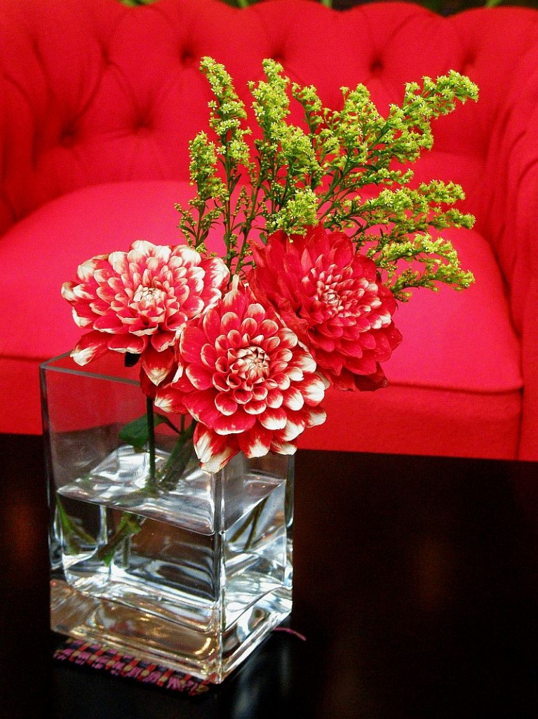 Dahlia with a Red Sofa jigsaw puzzle in Flowers puzzles on TheJigsawPuzzles.com