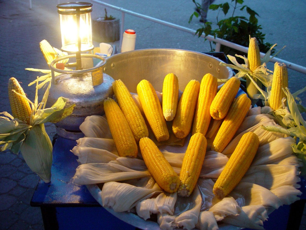 Cooking Corn in Istanbul, Turkey jigsaw puzzle in Fruits & Veggies puzzles on TheJigsawPuzzles.com