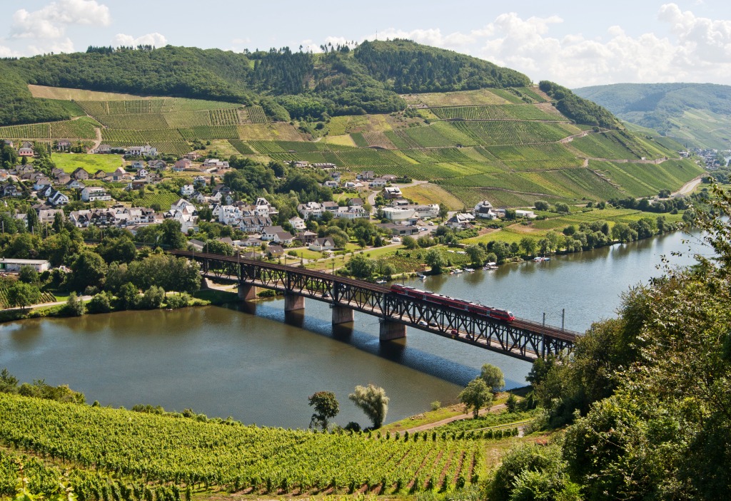 Ponte Heritage sobre o Rio Moselle jigsaw puzzle in Pontes puzzles on TheJigsawPuzzles.com
