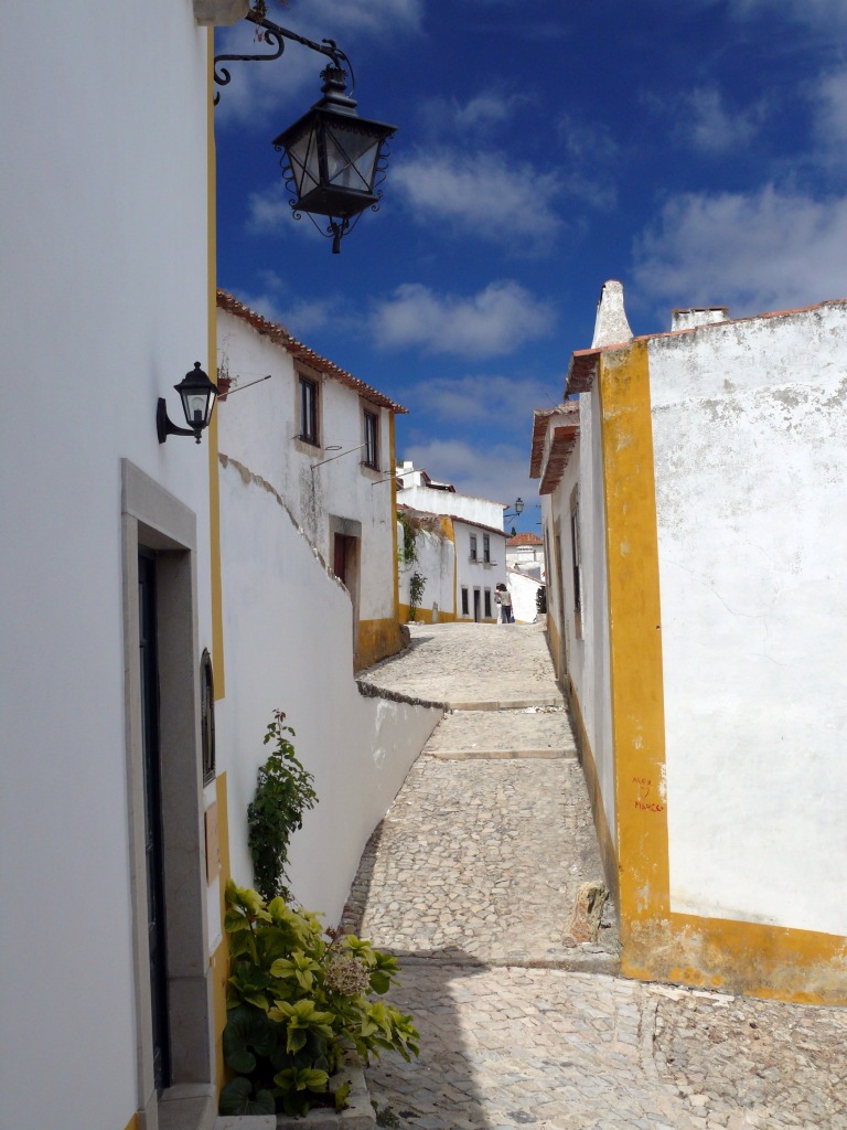 Obidos Street, Portugal jigsaw puzzle in Street View puzzles on TheJigsawPuzzles.com