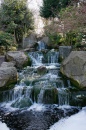 Waterfalls, Holland Park
