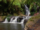 Elabana Falls, Australian Rainforest