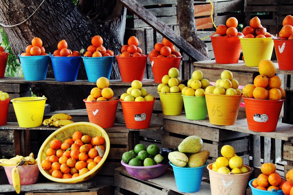 Fruit Stand near Tepic, Mexico jigsaw puzzle in Fruits & Veggies puzzles on TheJigsawPuzzles.com