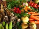Ecologically Grown Vegetables