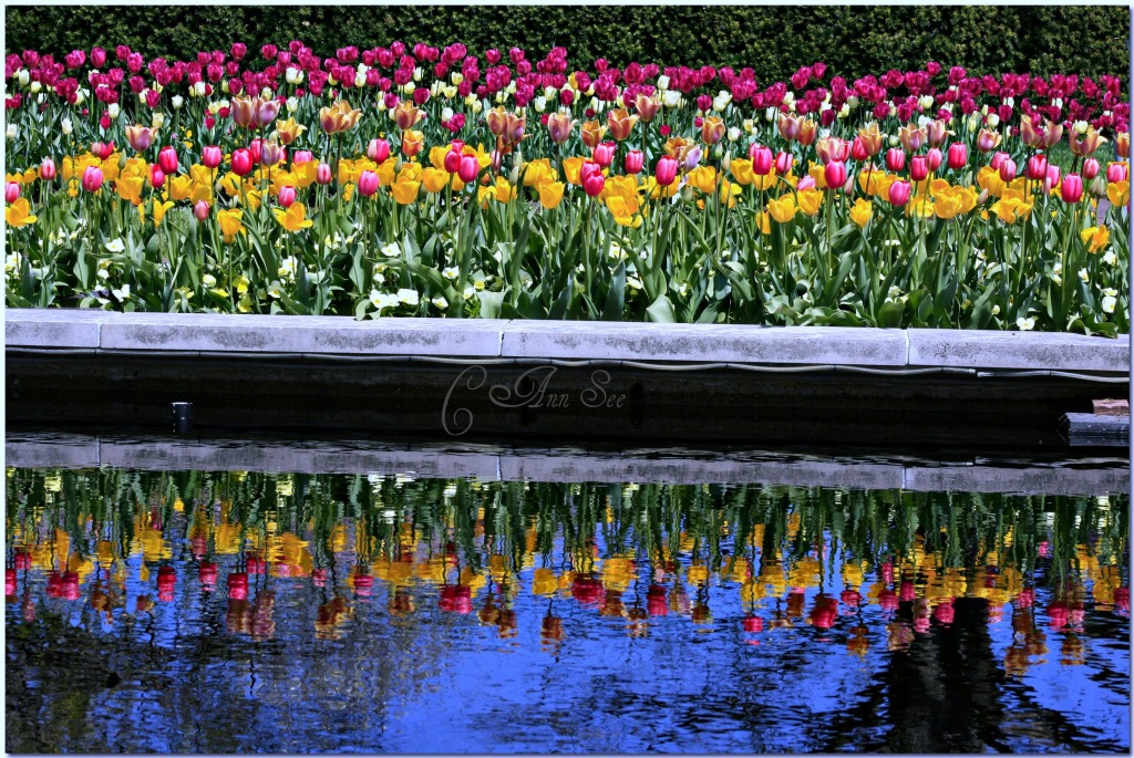 Tulips Everywhere jigsaw puzzle in Flowers puzzles on TheJigsawPuzzles.com
