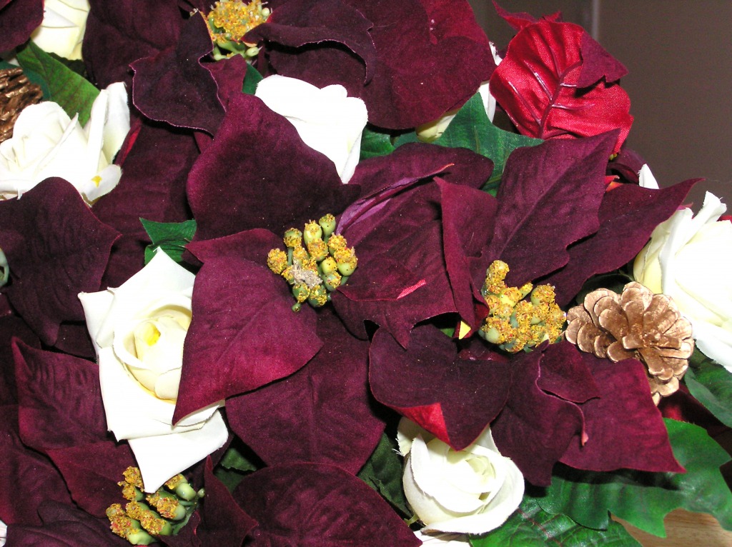 Deep Red Poinsettias jigsaw puzzle in Flowers puzzles on TheJigsawPuzzles.com